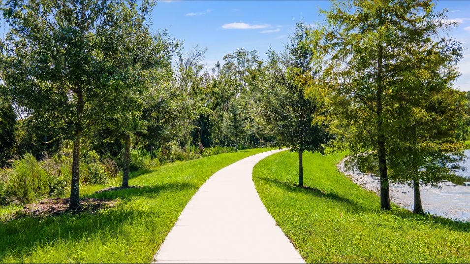 Angeline Active Adult Community Trails