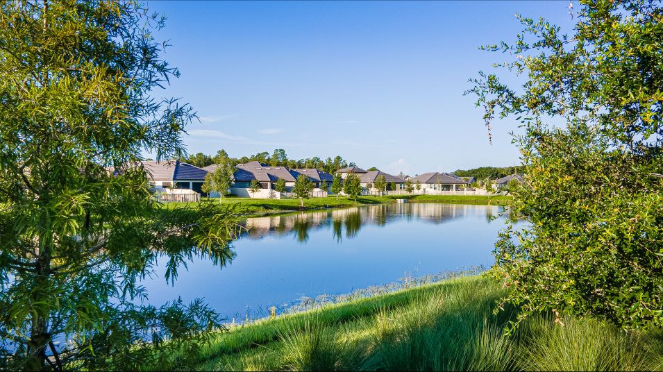 Angeline Active Adult Community Trails