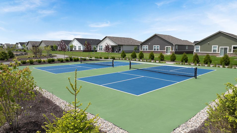 Alexander Ridge Amenity Pickleball Court 060525