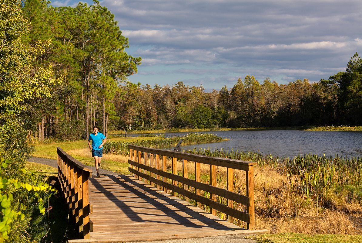 Angeline hiking trails