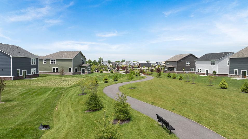 Alexander Ridge Amenity Walking Trails