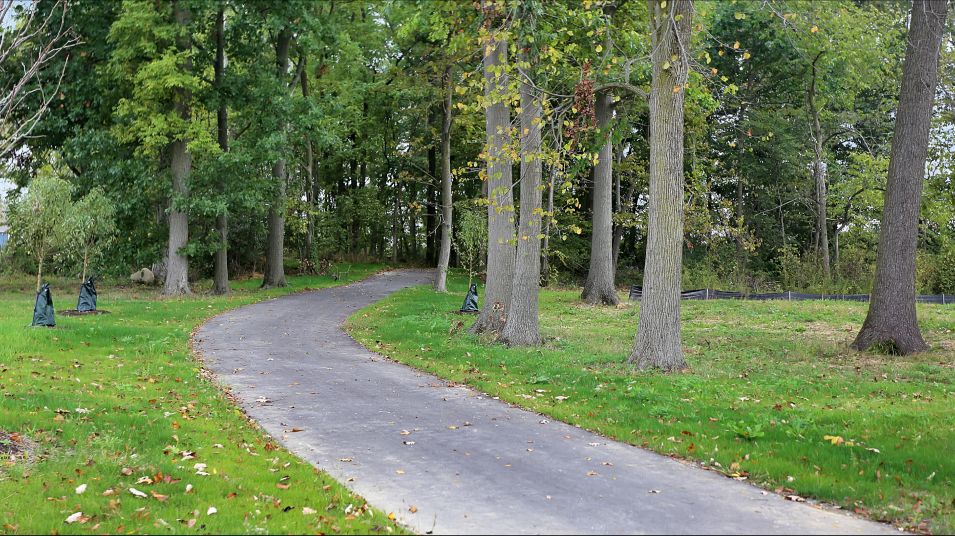 Trail