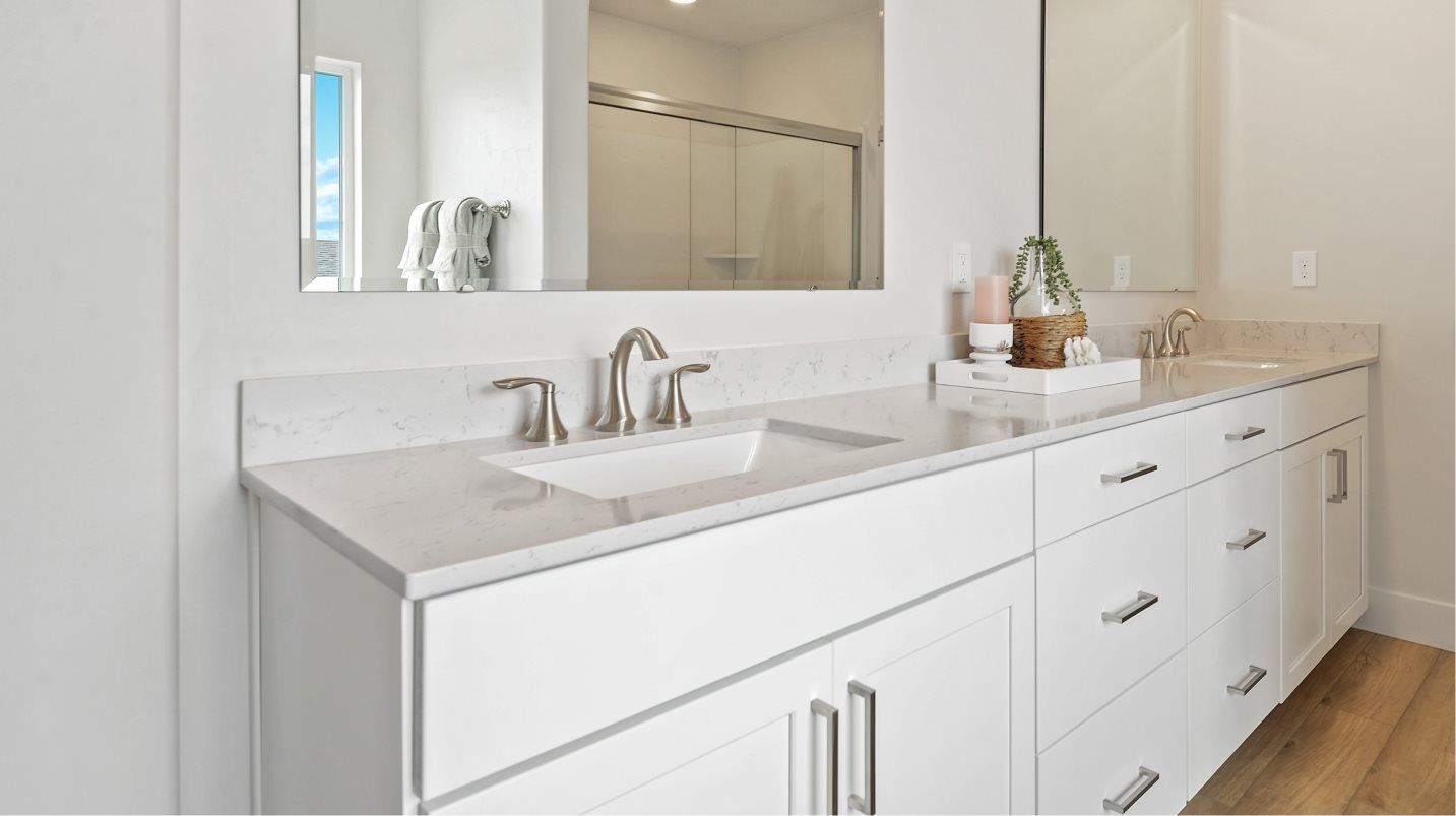 EI Owners Bath Duel Sinks