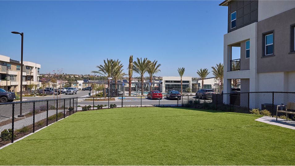 041125 Sunbow Amenity Dog Park