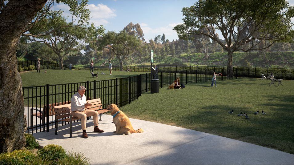 Junipers Community Dog Park