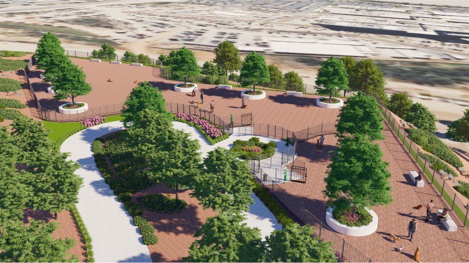 Aerial view of the dog park