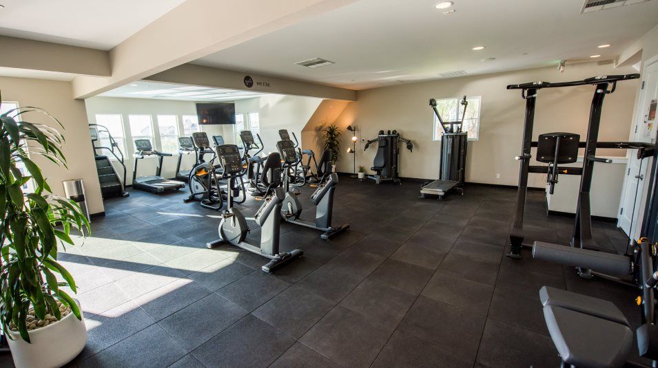 Fitness Center at Anden at Escaya