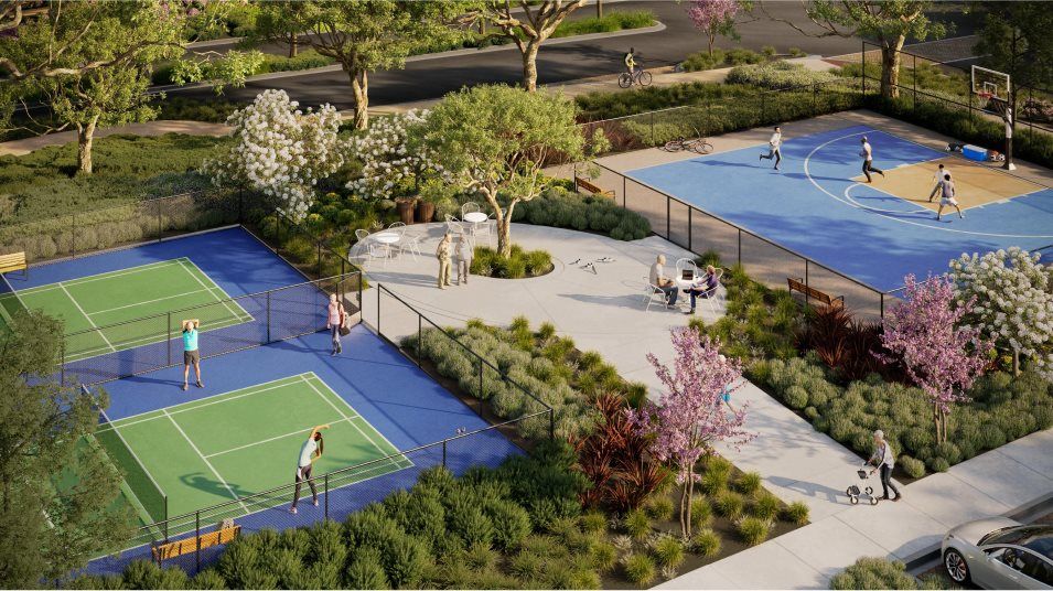 Junipers Community Park