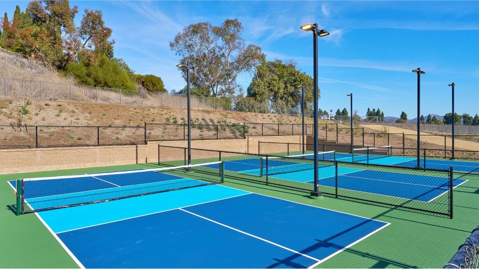 Junipers Community Sport Court