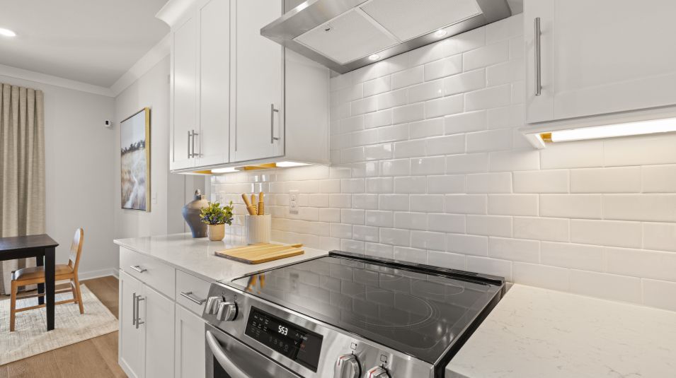 City Vista EI Appliances Electric Range