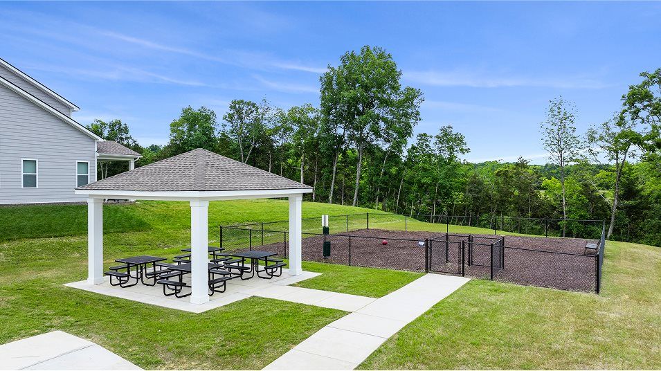 Picnic Area