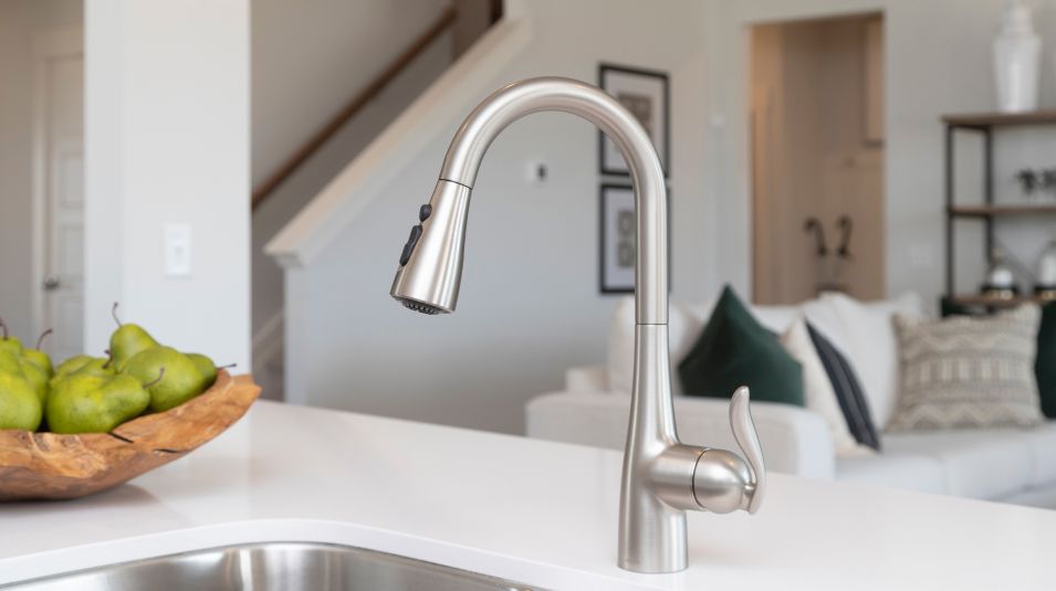 Carellton Ammenity Moen Faucet With Pull Down Spray