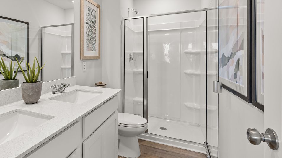 Divisional EI Walk In Shower 2
