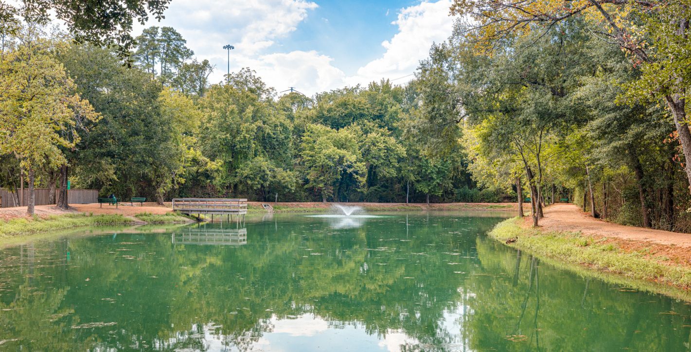 Local Park