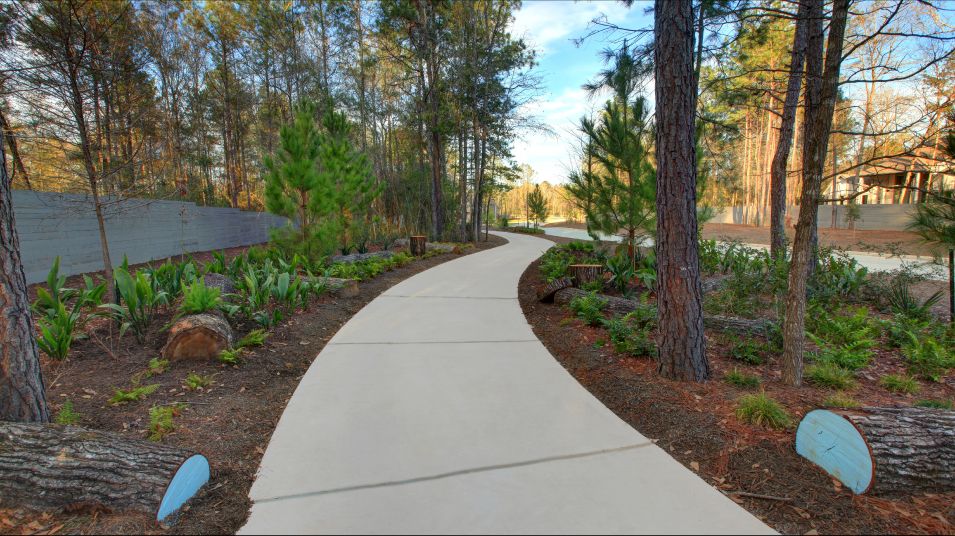 Trail