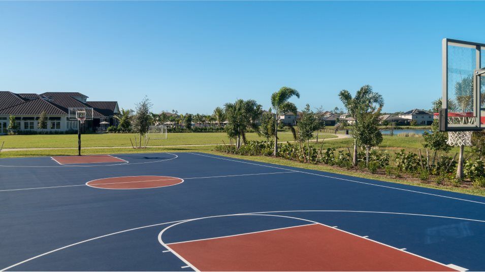 Basketball court