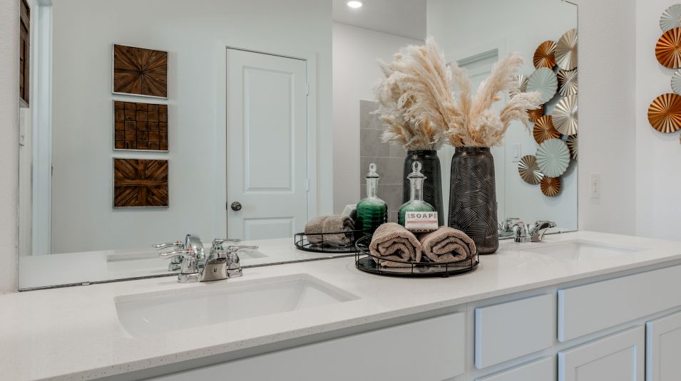 Pic EI Owners Bath Countertop Cabinetry