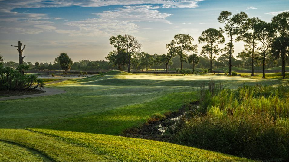 Ibis Landing Golf course