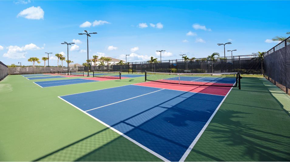 The National Amenity Pickle Ball 05 24 24