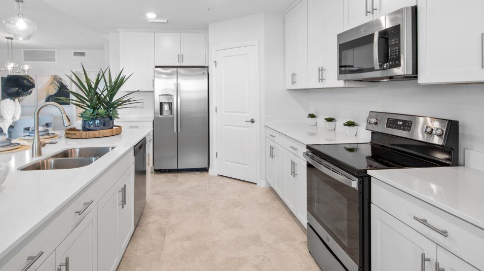 Microwave and Cooktop