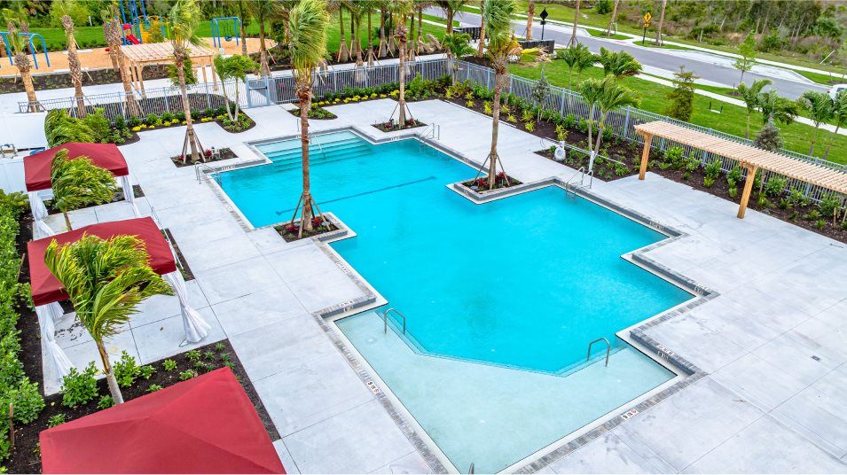 Lakespur at Wellen Park swimming pool