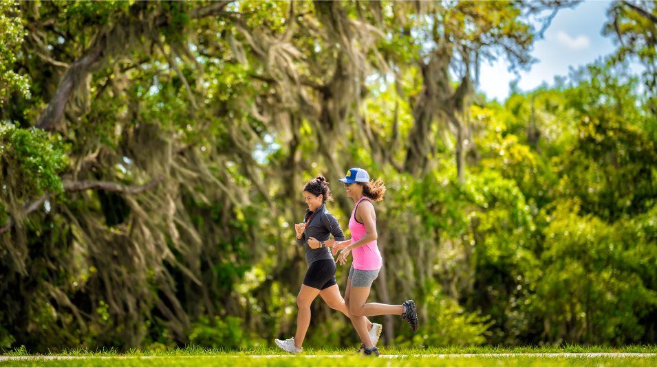 Brightwater Lagoon Trails