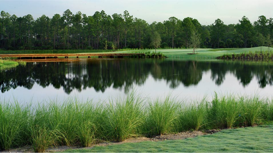 Hampton Lakes at River Hall golf course