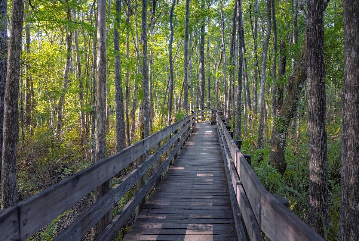 Ibis Landing Golf Country Club