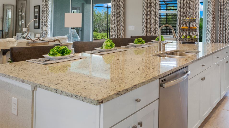 Granite Countertops in Kitchen