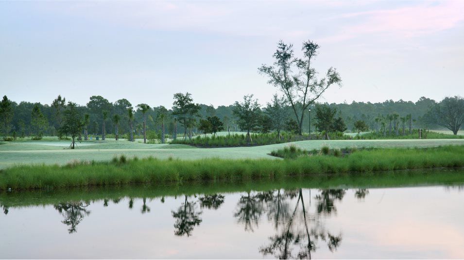 Hampton Lakes pond