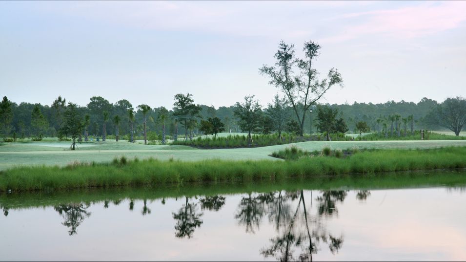 Community Pond