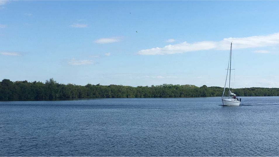 Harbor West lake pond