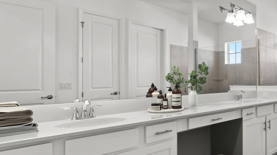 Owner's Suite Bathroom vanity