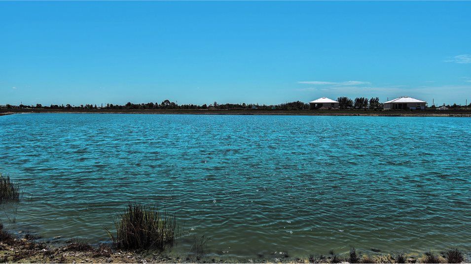 Harbor West lake pond