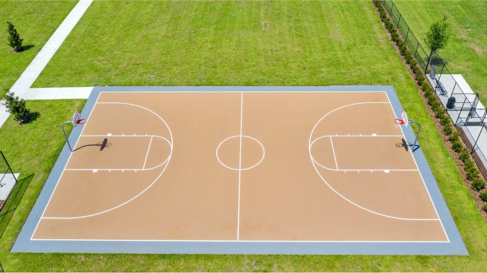 Basketball court