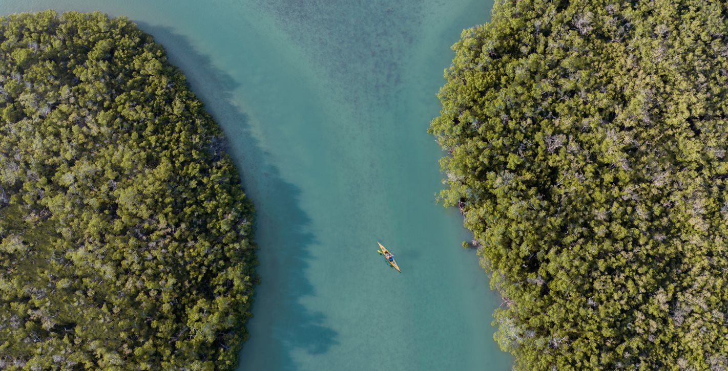 Aerial view of Bonita Springs