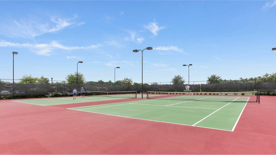 Tennis court