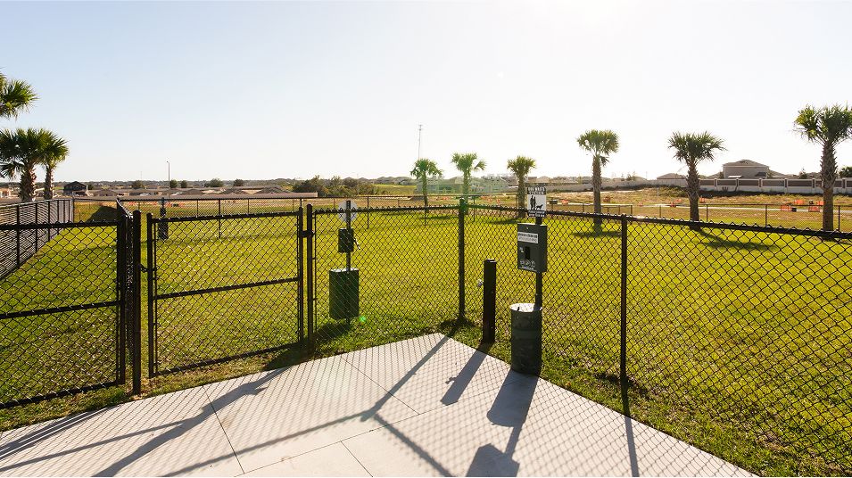 Providence Amenity Dog Park 7 21 25