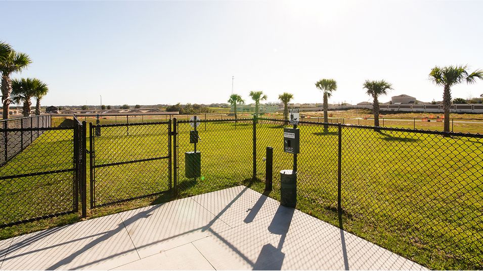 Providence Amenity Dog Park (1)