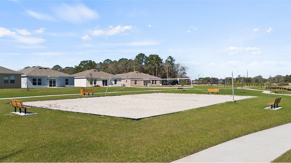 Volleyball court