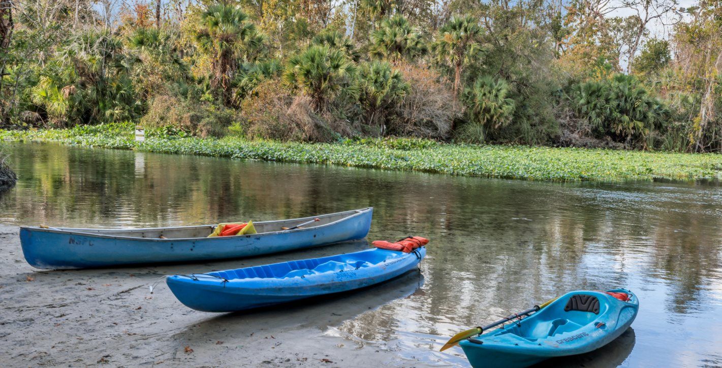 Kayaking in Wekiwa Springs State Park