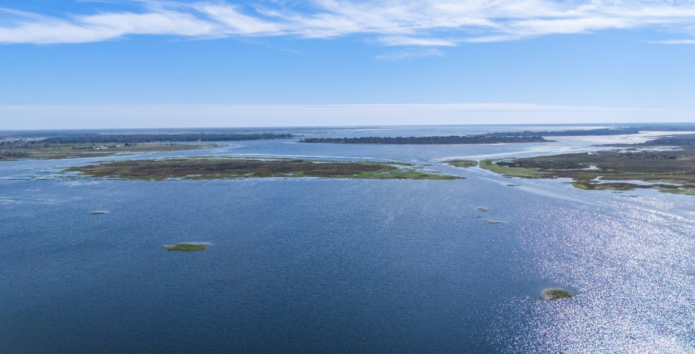 Aerial of Lake Tohopekaliga