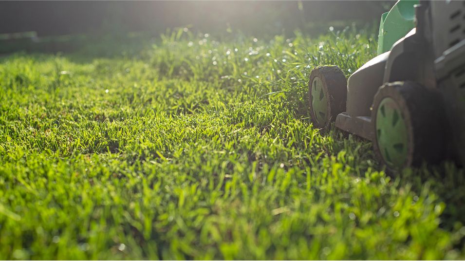 N Pic Decor Home Lawnmower Grass