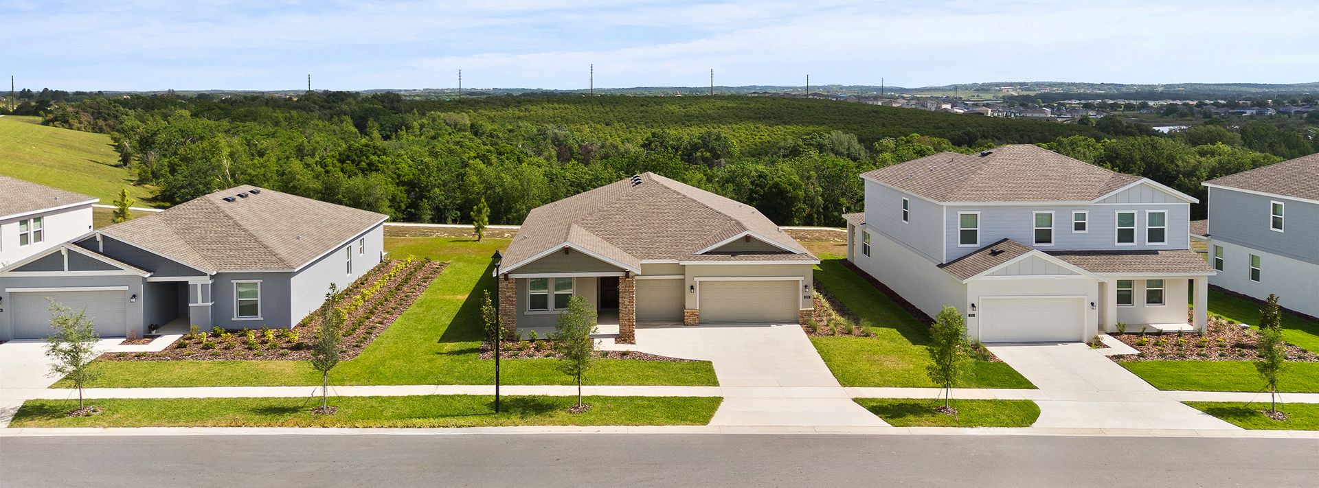 Hidden Ridge Estate Streetscape 5 16 25