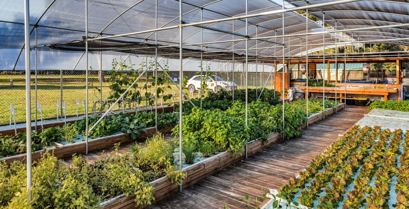 Groveland Aquaponics Farm