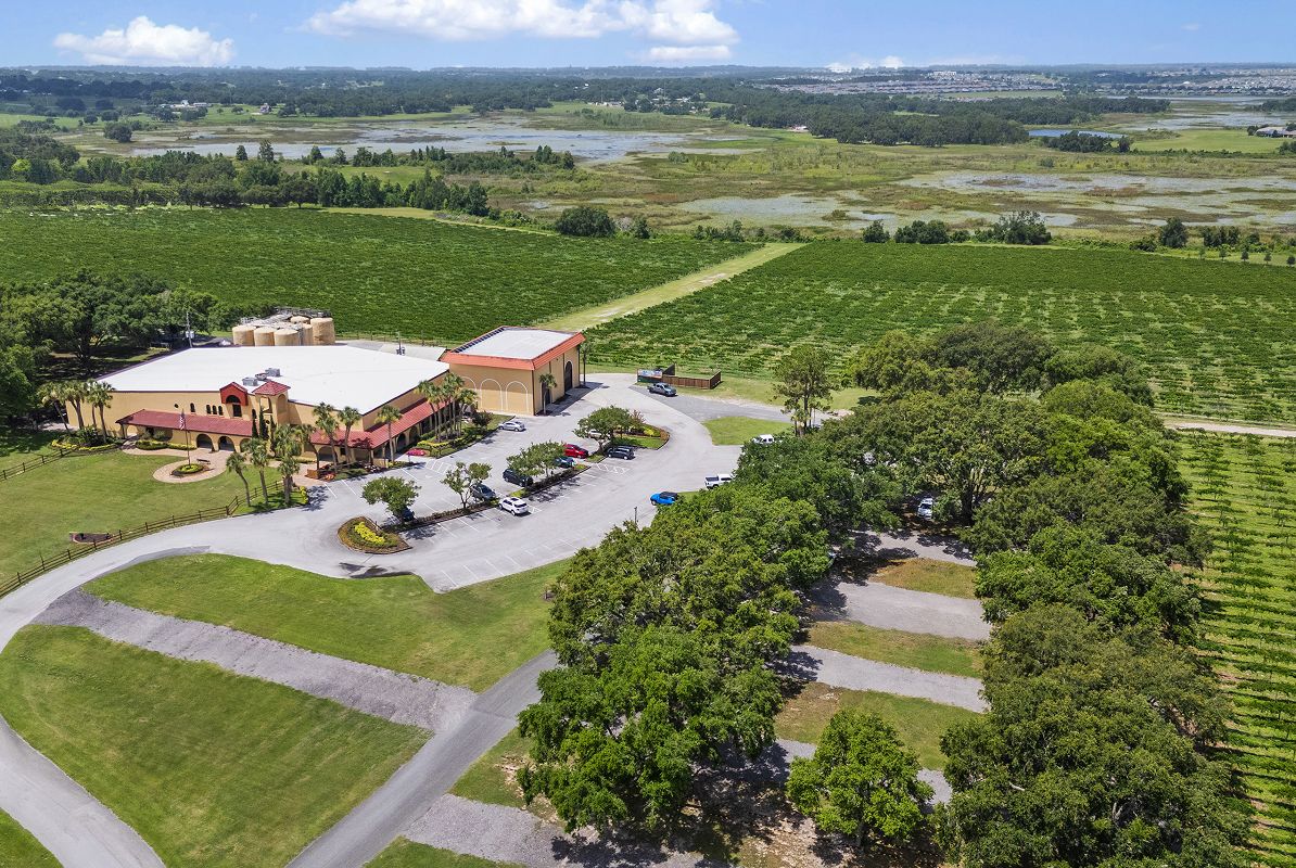 Minneola Lakeridge Winery Aerial 8 28 25