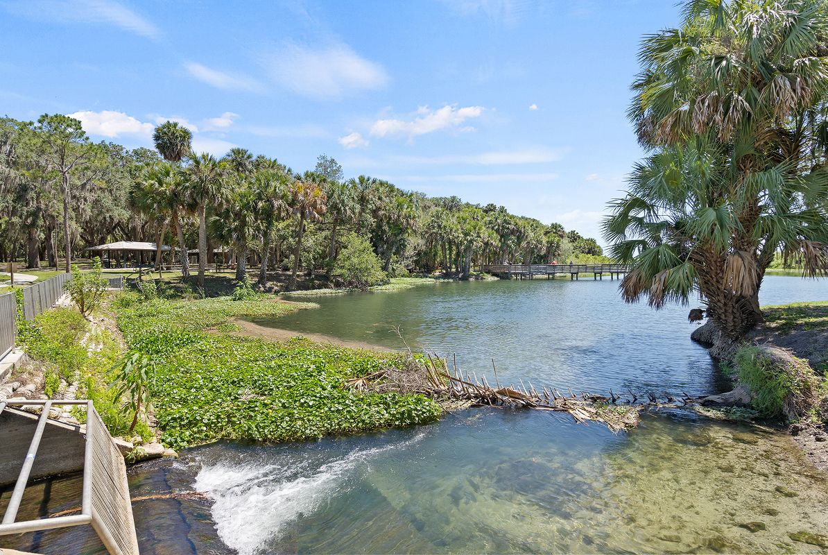 De Bary Gemini Springs Park 1of2 7 30 25