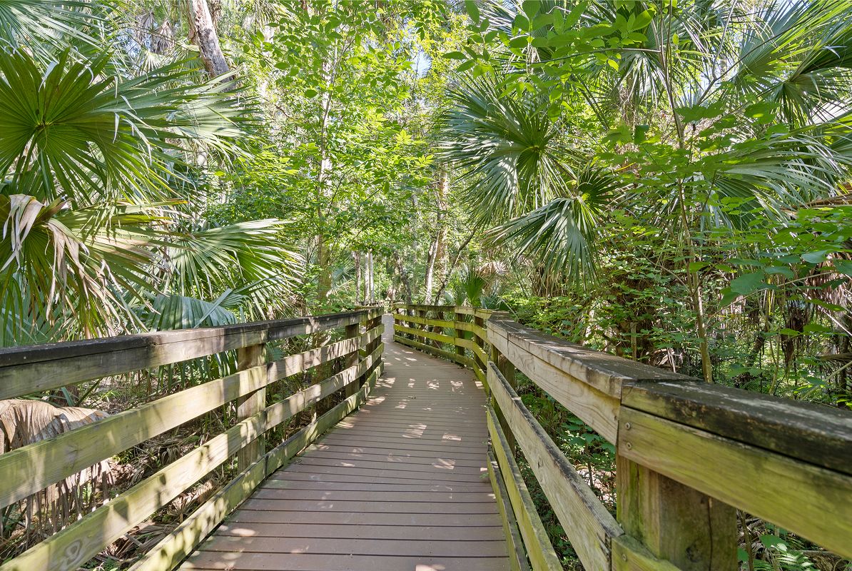 De Bary Black Bear Wilderness Area 1of2 7 30 25