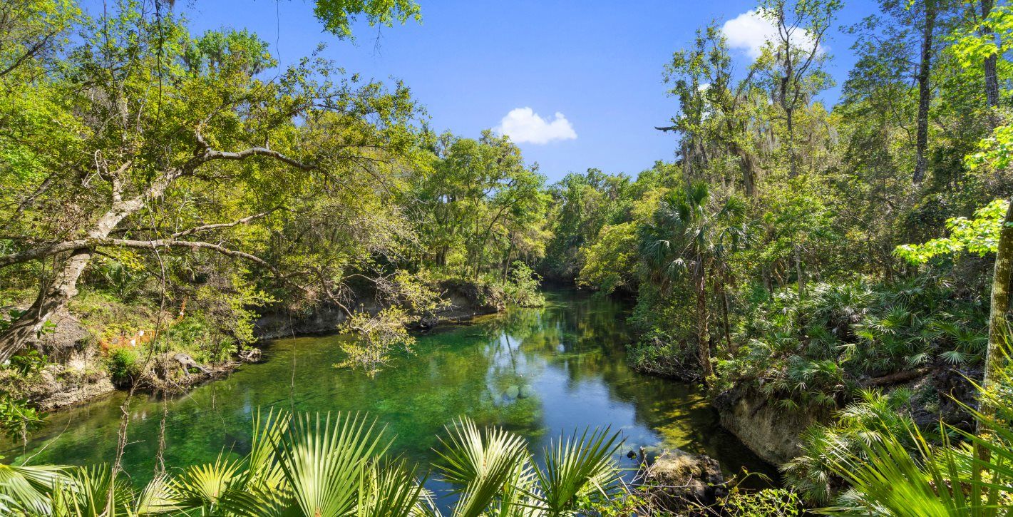 Blue Springs State Park