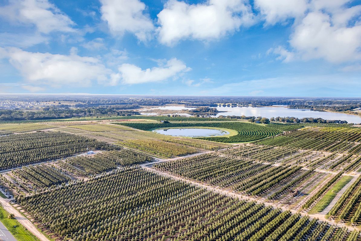 Groveland Cherry Lake Farm 4 17 25